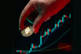 Descubren decenas de criptogranjas ilegales en Daguestán