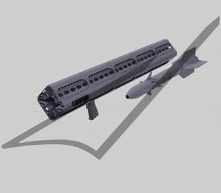 Dozens of Times Cheaper Than Verba MANPADS: New Drone Interceptor "Lyuty" and "Baba Yaga" Developed in Russia