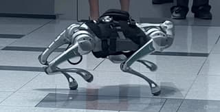 Presentan un perro robot biónico para misiones peligrosas en el SPIEF