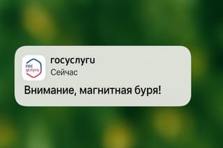 Депутаты предложили высылать россиянам уведомления о магнитных бурях через «Госуслуги»