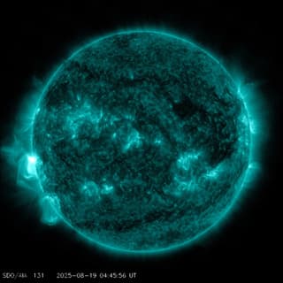 M1 class flare and "prominence dance" observed on the Sun
