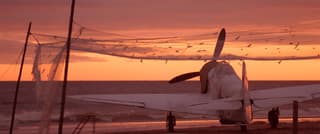What to Watch on the Weekend: Ministry of Transport Recommends the Film "Air" — A Movie About Fearless Yak-1B Pilots