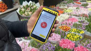 Communication failed at the most important moment: what is happening at Moscow's Rizhsky Market ahead of March 8