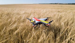 Drones irrumpen en los campos: el mercado de drones para la agricultura crecerá un 25%
