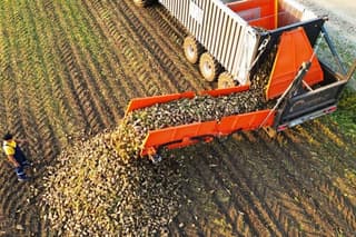 Import substitution in the field: the new Russian RUF-2 transfer trailer doubled harvesting speed