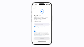 Scam Instead of Apple ID Payment: Scammers Attack Russians with New Scheme