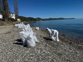 Tuapse Fights Fuel Oil After UAV Attack: Not Enough Volunteers Even with Round-the-Clock Cleanup