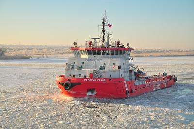 «Georgiy Sedov»