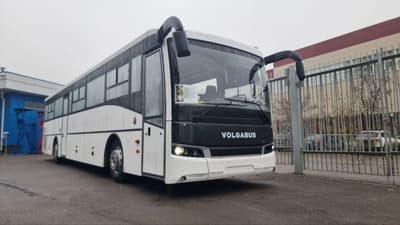 Bakulin Motors Group