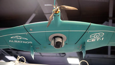 «Albatros M5»