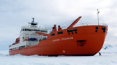 NES «Akademik Treshnikov»