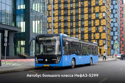 НЕФАЗ 5299