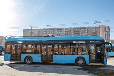 Avtobus «Gorozhanin»