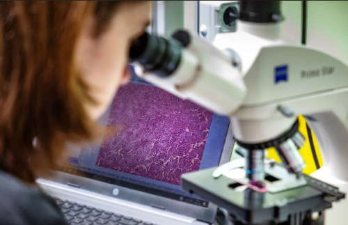 Фото 1