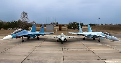 Su-30SM, Su-35S y MiG-29