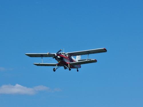 An-3