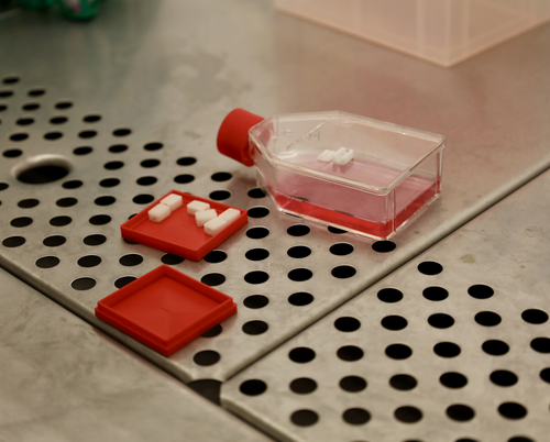 Bioreactor capsule