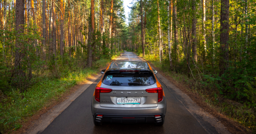 Фото 1