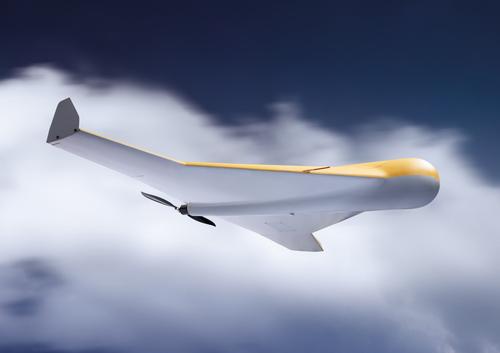 UAV "Kub"