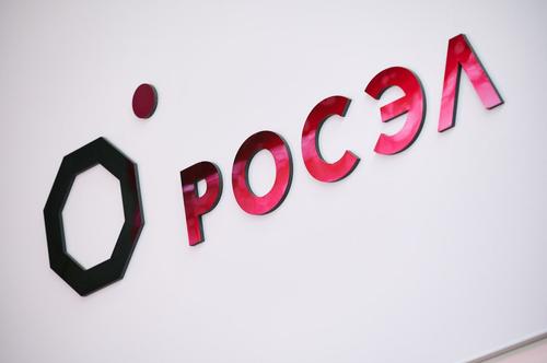 Roseléctronica