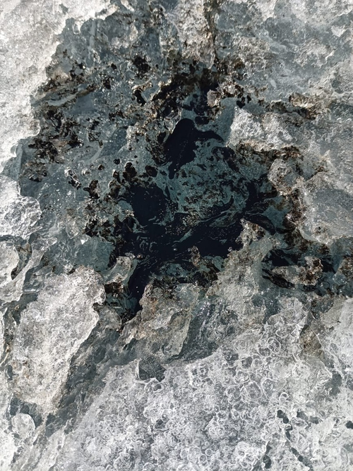 Emisiones naturales de petróleo en el Baikal