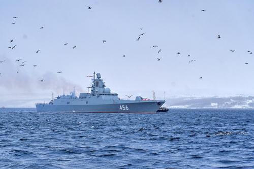 Проект 22350