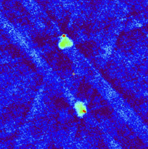 Radioimagen del cuásar según datos de la revisión VLASS a una frecuencia de 3 GHz (tamaño del marco 6.5 minutos de arco). La cruz en el centro indica la posición de la fuente óptica. Los puntos rojos superior e inferior corresponden a los puntos "calientes" (áreas de frenado de los jets) en las "radioorejas" extendidas, mostradas en verde