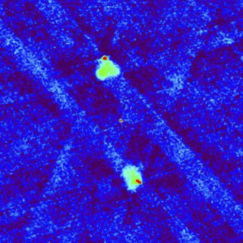 Radio image of the quasar according to the VLASS survey at a frequency of 3 GHz (frame size 6.5 arc minutes). The cross in the center indicates the position of the optical source. The upper and lower red dots correspond to 'hot' spots (jet braking regions) in the extended 'radio ears' shown in green