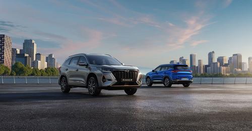 X-Cross 8