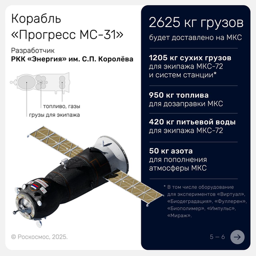 Payload of the Progress MS-31 ship