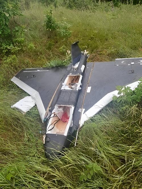 UAV "Gerbera"