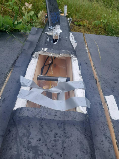 UAV "Gerbera"