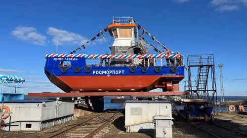 «МНМС Лебедь»