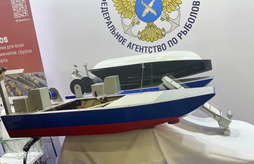 макет беспилотного катамарана для добычи рыбы