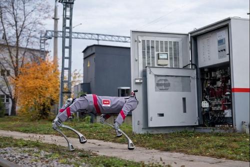 Perro robot de RZhD