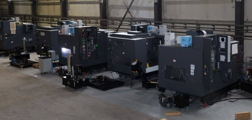 IAZ plant