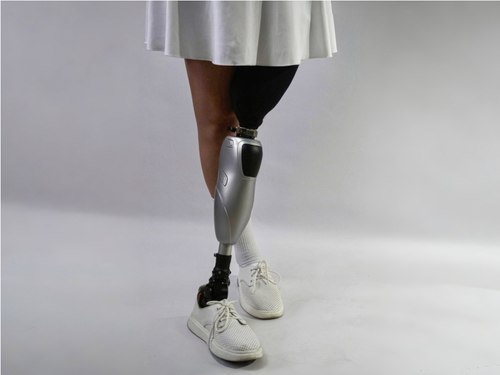 The new "Sputnik" knee module