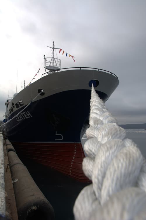 Crabber "Senten"