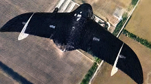 Dron "Knyaz Veshchy Oleg"