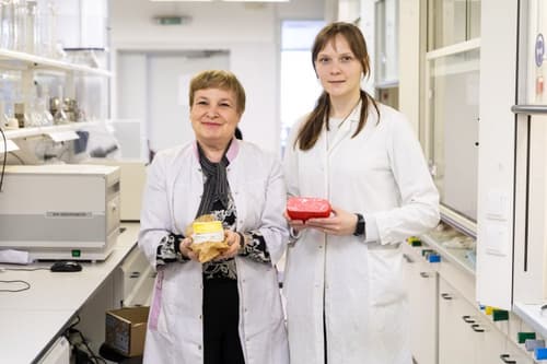 Head of the research group Elena Kovaleva and co-executor Nadezhda Vladimirova