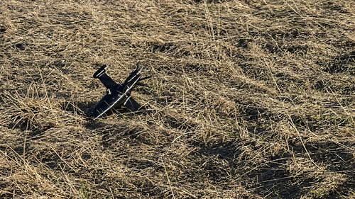Dron interceptor "Molniya"