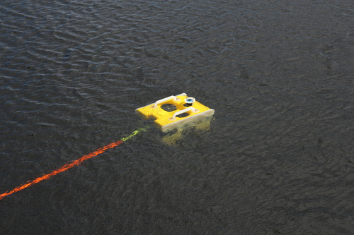 ROV "GNOM"