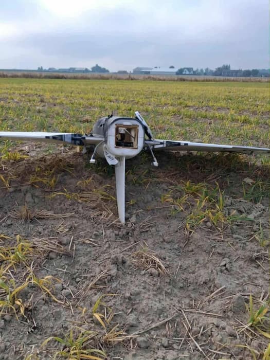 UAV "Gerbera"
