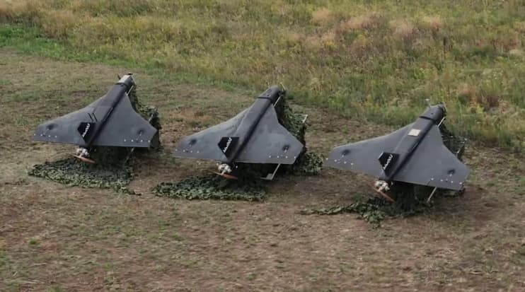 &nbsp;«Гербера»