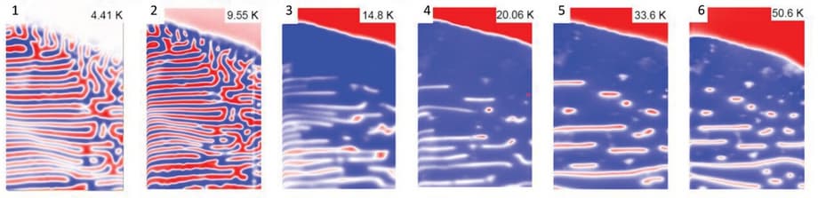 Доменная структура BFPO при различных температурах и магнитном поле 0,5 тесла&nbsp; <br>