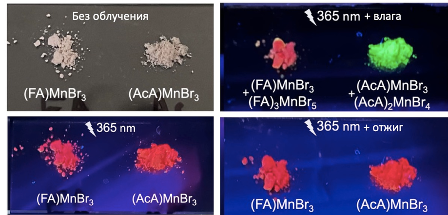Samples of the obtained materials luminescing under ultraviolet light in an atmosphere with different humidity