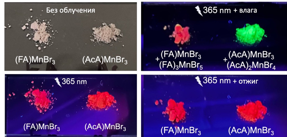 Samples of the obtained materials, luminescing under the action of ultraviolet light in an atmosphere with different humidity