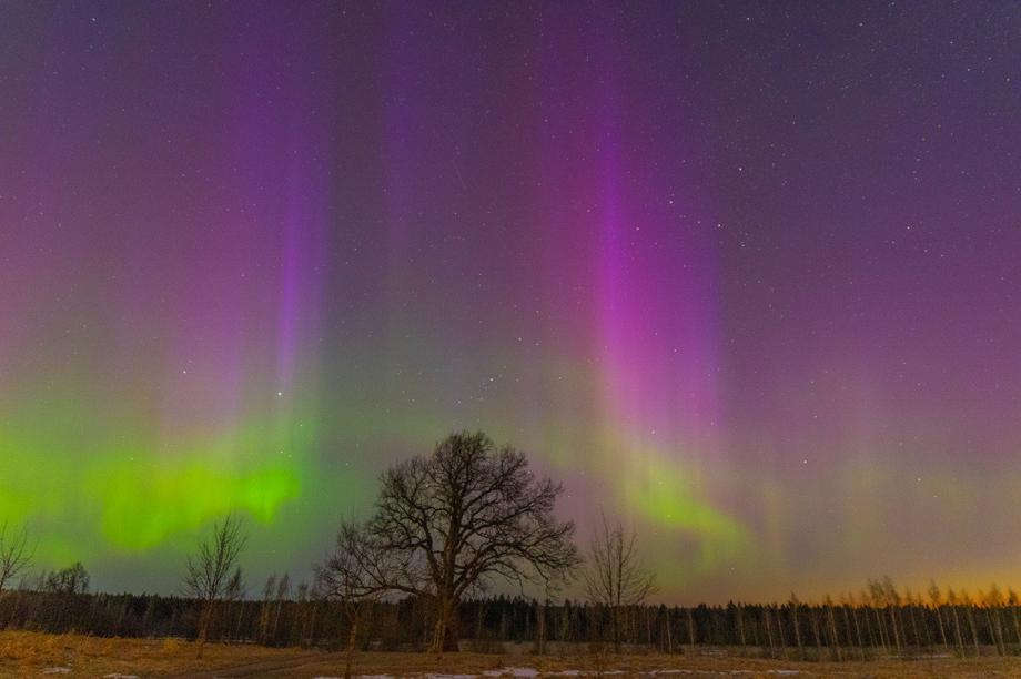 Северное сияние в Ленобласти