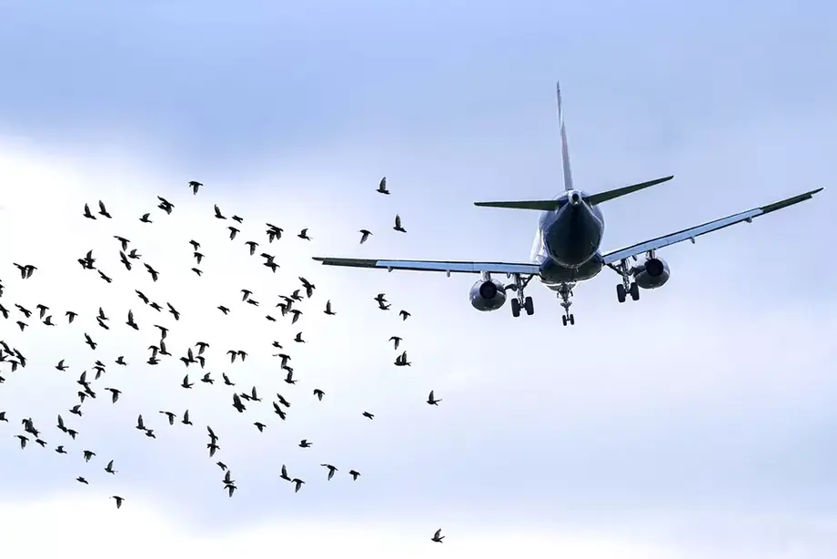 Foto: iStock<br>