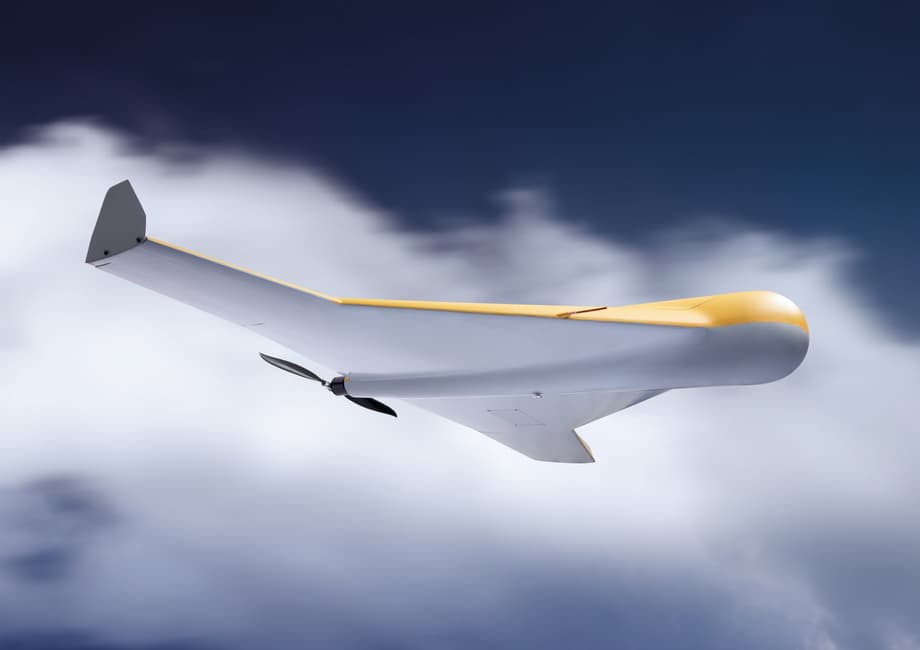 UAV "Kub"